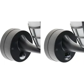 ChiliTec TELARANA (CT23581) Schwarz
