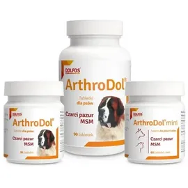 Dolfos ArthroDol Teufelskralle MSM für Gelenke 90 Tabletten