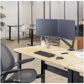 Fellowes Platinum Series Doppel Monitorarm schwarz
