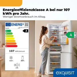 Exquisit KGC5380-115-NF-040A Kühl-Gefrierkombination (377 l, 2005 mm hoch, Weiß)