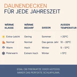 innovations2u ug (haftungsbeschränkt) Winterdaunendecke »COMFORT« – Polarwarm, 60% Daunen 40% Federn, Downpass, hergestellt in Deutschland, Größe: 240x220 cm, polar warme Winterdecke, Bettdecke 135x200 155x220 cm, 200x220cm & weitere Größen Weiß