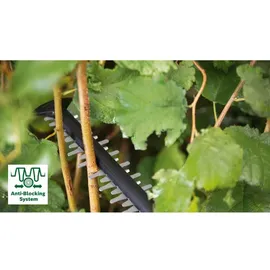 Bosch AdvancedHedgecut 36V-65 ohne Akku 060084A301