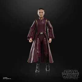 Hasbro Padmé Amidala Action-Figur 15 cm