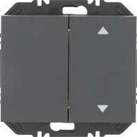 Berker Modul Wippe 2f 24127306