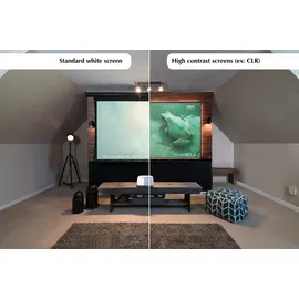 Elite Screens Elite Screens, AEON EDGE FREE AcousticPro-UHD