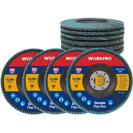 WorkPro Fächerscheiben Polierscheibe Ø 125 mm 10 Stück