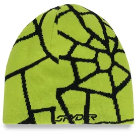 Spyder Reversible Web HAT Schwarz