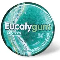 Eucalygum Gommes Avec Sucre Bonbon(S) 40 g