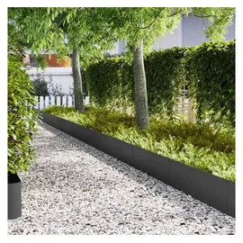 vidaXL Raseneinfassung 100 x 0,05 x 30 cm 10 Stück Schwarz