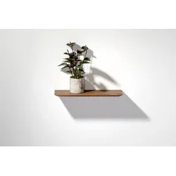Wandregal Nussbaum 02 S 50 × 15 × 2 cm