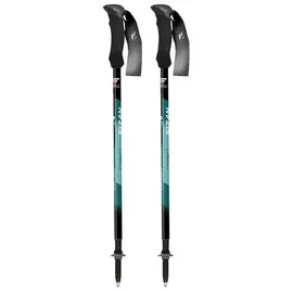 fizan Trekkingstöcke Compact 3 132 cm Water Green