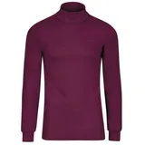 TRIGEMA Rollkragenshirt TRIGEMA Langarm Ski- und Sport-Rollkragenpullover (1-tlg) rot M (38/40)