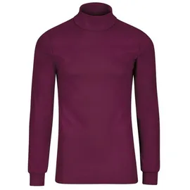 TRIGEMA Rollkragenshirt TRIGEMA Langarm Ski- und Sport-Rollkragenpullover (1-tlg) rot M (38/40)