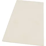 Electrolux Glasplatte Gemüseschublade 2249061140 transparent