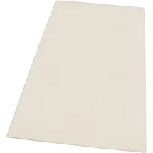 Electrolux Glasplatte Gemüseschublade 2249061140 transparent