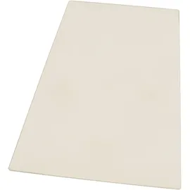 Electrolux Glasplatte Gemüseschublade 2249061140 transparent