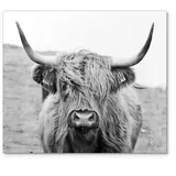 deqori Herdabdeckplatte 1 tlg schwarz