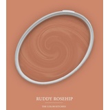 A.S. Création - Wandfarbe Orange "Ruddy Rosehip" 2,5L