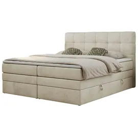 MKS Luka King 140 x 200 cm H3 Beige