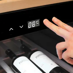Caso Design CASO WineChef Pro 126-2D Black