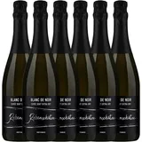 Rebenschätze Blanc de Noir Cuvée Sekt b. A. extra dry 0,75L 6er Karton