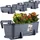 Kadax Balkonkasten 60 x 17 x 15 cm Graphit