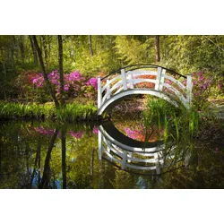 Fototapete PAPERMOON "Brücke im Park", bunt, B:4,50m L:2,80m, Vlies, Tapeten