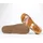 THINK! KOAK Damen Iced Coffee/Kombi 38
