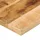 vidaXL Tischplatte 100x30x2,5 cm Rechteckig Raues Massivholz Mango