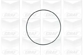 GRAF Wasserpumpe pa671 für Ford Vaughall JEEP ALFA ROMEO Opel Chrysler ROVER