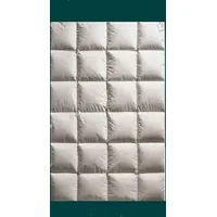 Betten Hofmann anschmiegsame Ganzjahresdecke Daunendecke 4x6 135x200 cm  980 g Daunen - Weiß