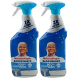 Meister Proper Badreiniger Spray 800 ml