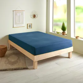 Traumschlaf Spannbettlaken Jersey-Baumwolle 120 x 200 - 130 x 200 cm dunkelblau