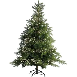 Lumineo LED-Lichterkette Cluster 19 m schwarz warmweiß