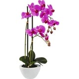 Kunstpflanze Orchidee