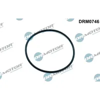 DR.MOTOR AUTOMOTIVE Dichtung, Unterdruckpumpe drm0746