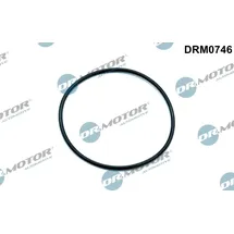 DR.MOTOR AUTOMOTIVE Dichtung, Unterdruckpumpe drm0746