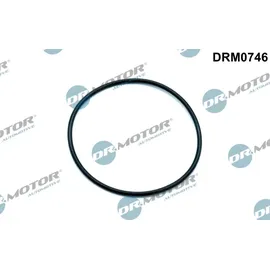 DR.MOTOR AUTOMOTIVE Dichtung, Unterdruckpumpe drm0746