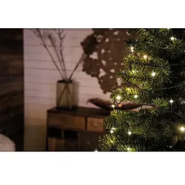 Konstsmide Micro LED Innenkette gefrostet 50 LED 3 m warmweiß