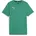 Puma Teamgoal Tee Jr sport green-puma white 128