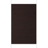 Sekey Plissee 70 x 130 cm Mokka
