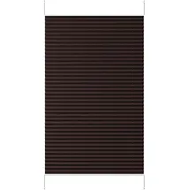 Sekey Plissee 70 x 130 cm Mokka