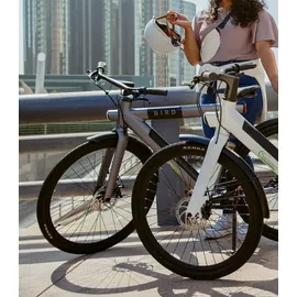 SachsenRAD xBird Urban City Bike C6F Connect Damen 26 Zoll grey