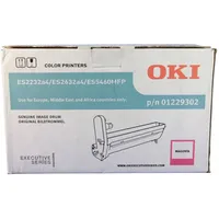 Oki 01229302