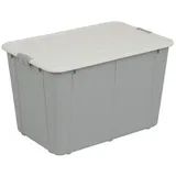 BranQ Aufbewahrungsbox Kunststoffbox mit Deckel 60L, grau