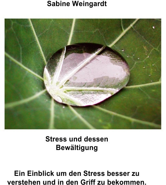 Stress Und Dessen Bewältigung - Sabine Weingardt  Kartoniert (TB)