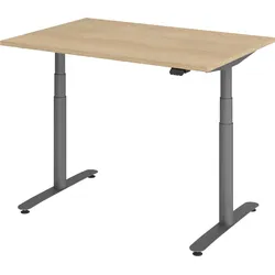 bümö Schreibtisch elektrisch Bluetooth & App XDLR Rechteck: 120 x 80 cm - Eiche Graphit