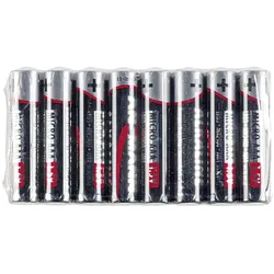 ANSMANN Batterie Micro Alkaline