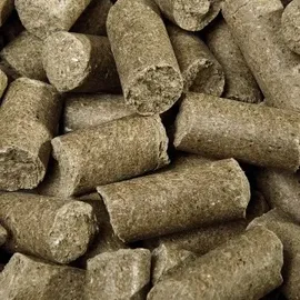Speed Delicious speedies Eucalyptus 5 kg