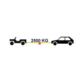 TRIZERATOP Abschleppseil 2500kg